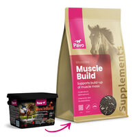 Pavo Musclebuild - Spiersupplement - 3000 Gram - Zak
