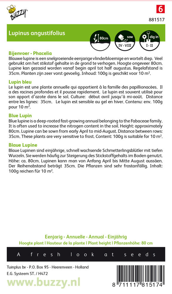 Buzzy Lupine Lupine - Groenbemester