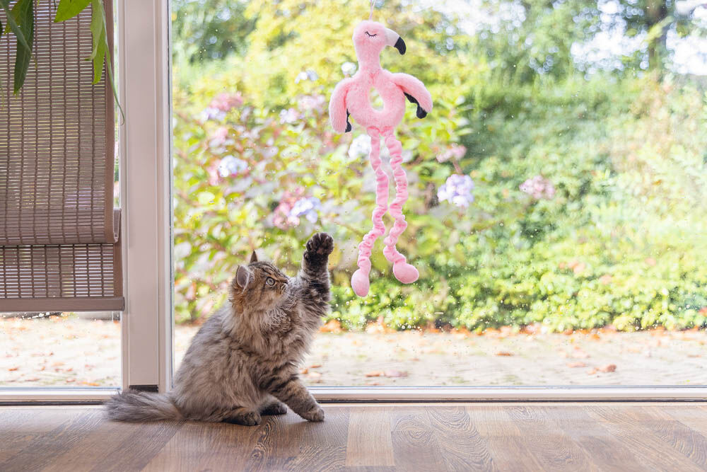 Beeztees Flamingo Cara - Kattenspeeltje - Roze
