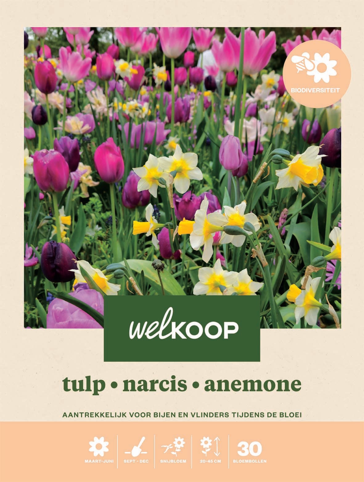 Welkoop Tulp - Biodiversiteit - Bloembollen Welkoop Tulp - Biodiversiteit - Bloembollen