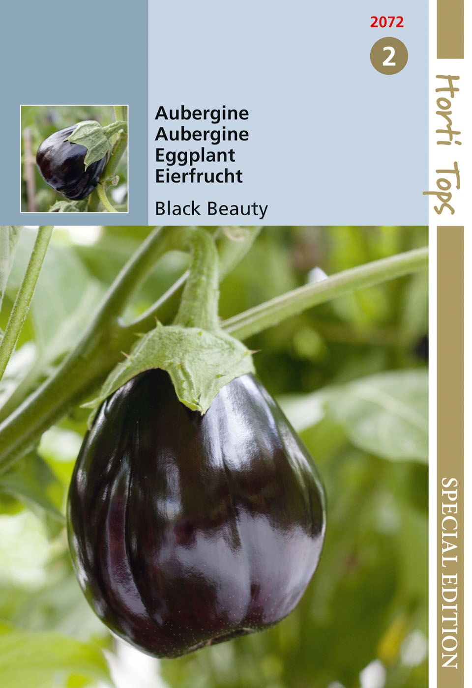 Hortitops Aubergine Black Beauty Solanum melongena - Groentezaden