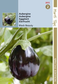 Hortitops Aubergine Black Beauty Solanum melongena - Groentezaden
