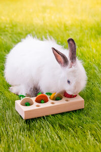 Qupas! Snackpuzzel - Knaagdierspeelgoed - 8.4x21x6 cm