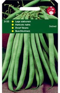 Hortitops Stamslabonen Phaseolus Vulgaris L. Delinel Z. Dr. - Groentezaden