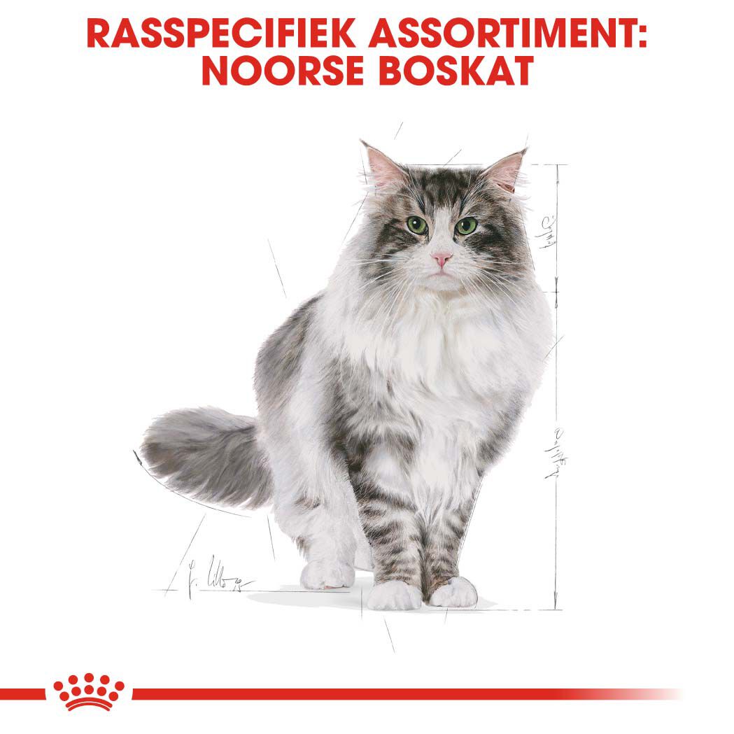 Royal Canin Noorse Boskat Adult - Kattenvoer - 10 Kilogram - Gevogelte