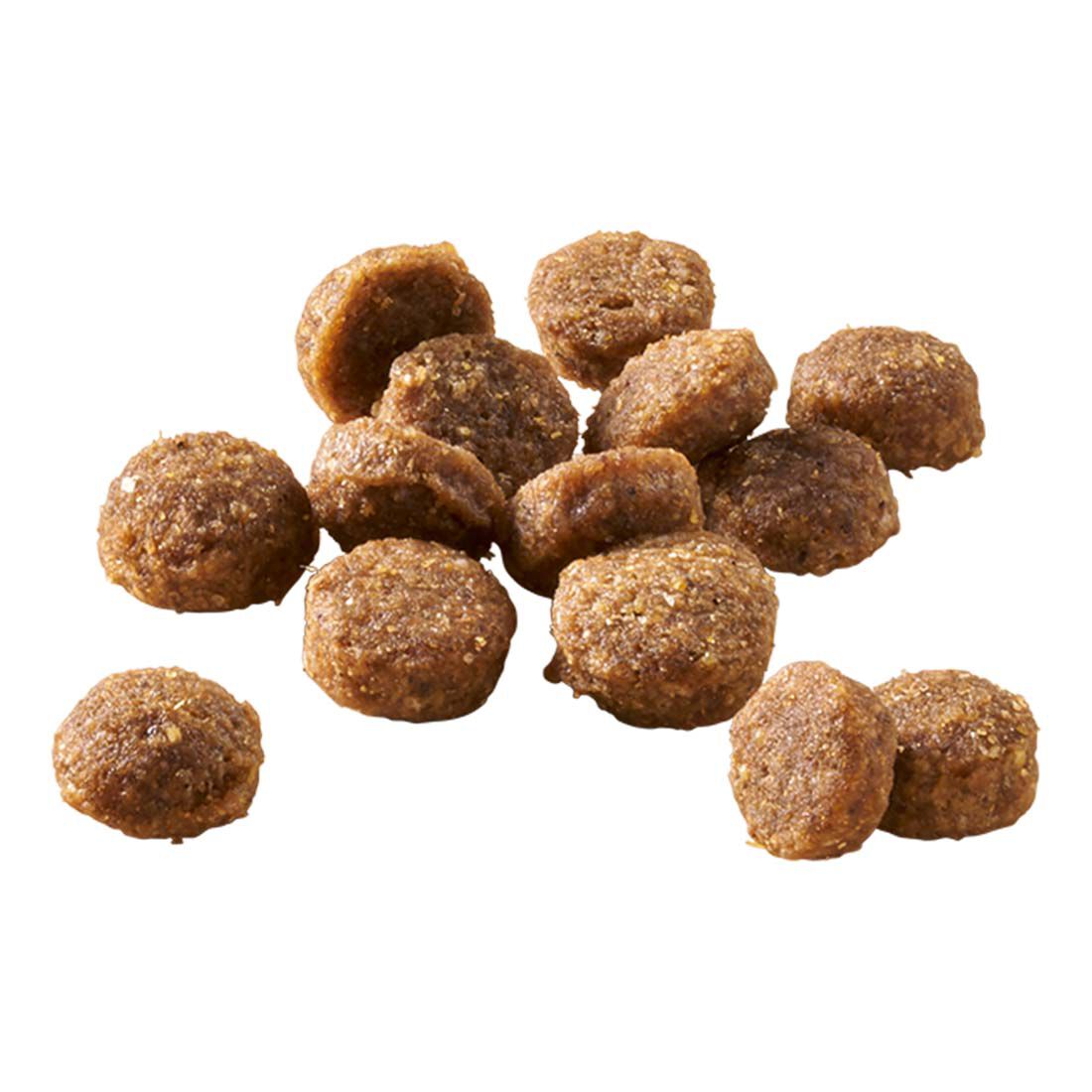 Welkoop Mini Krokante brokken - Hondenvoer - 1.5 Kilogram - rund