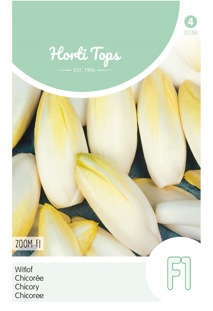Hortitops Witlof Cichorium intybus Witlof Zoom F1...Klasse 1 - Groentezaden