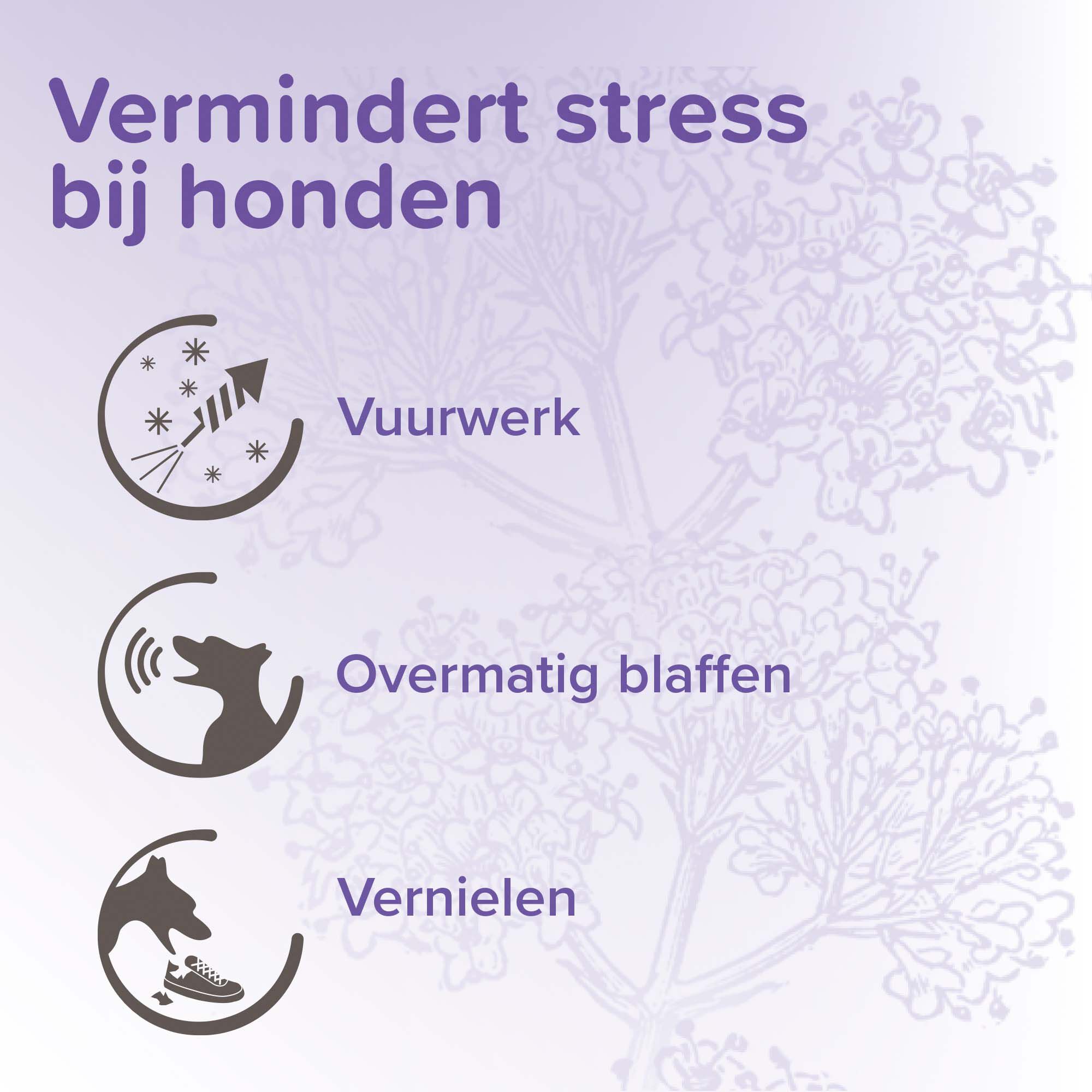 Beaphar No Stress Hond  - Kalmeringsmiddel - 3 Stuks