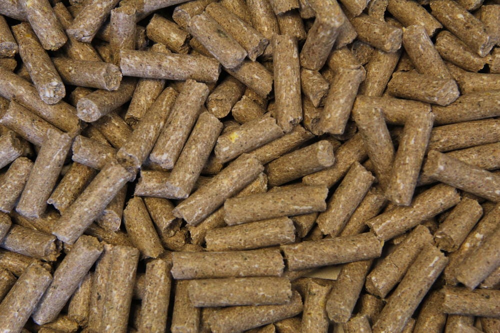 Voermeesters Basis - Basisvoeding - 20 Kilogram - Zak