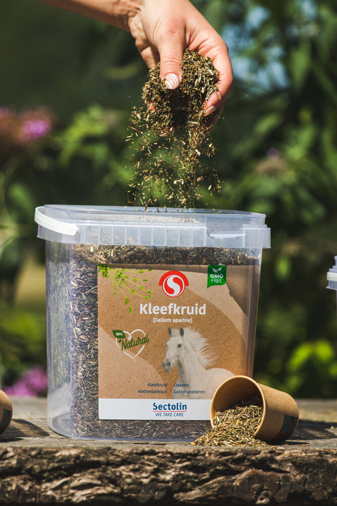 Sectolin Kleefkruid - Bloedzuiveringsupplement Paard - 0.7 Kilogram - Emmer