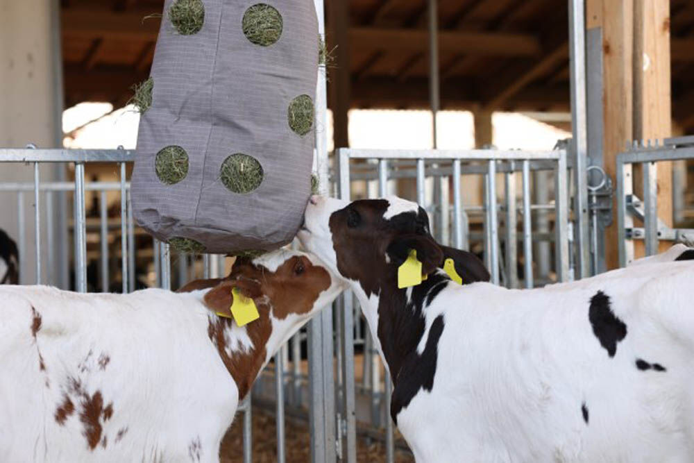 Kerbl HayBag - Hooizak - Grijs - 50x50x70 cm