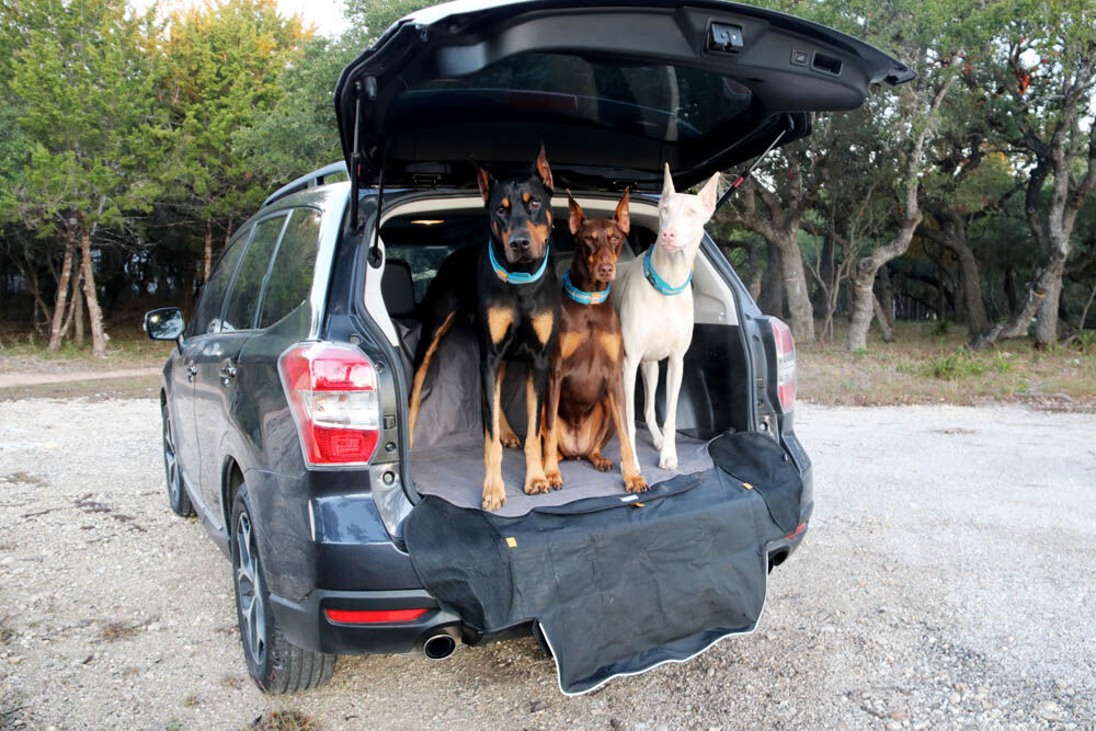 Kurgo Cargo Cape Kofferbak - Beschermhoes - grijs - 1x157x1 cm