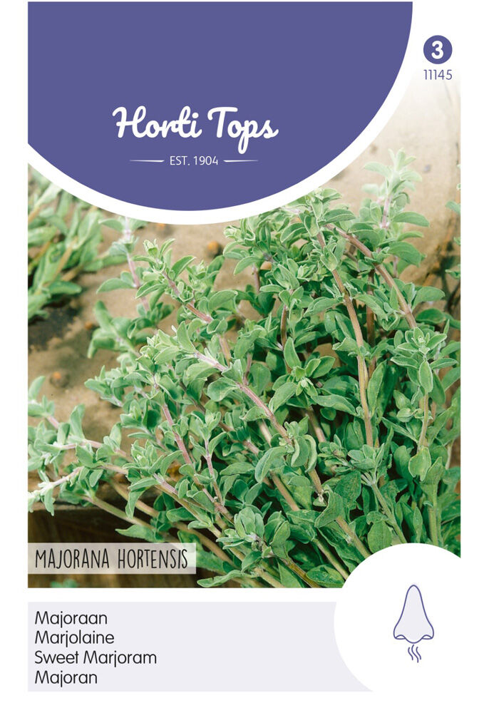 Hortitops Marjoraan Majorana hortensis - Kruidenzaden
