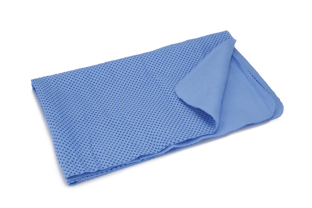 Beeztees Absorberende Drooghanddoek - blauw