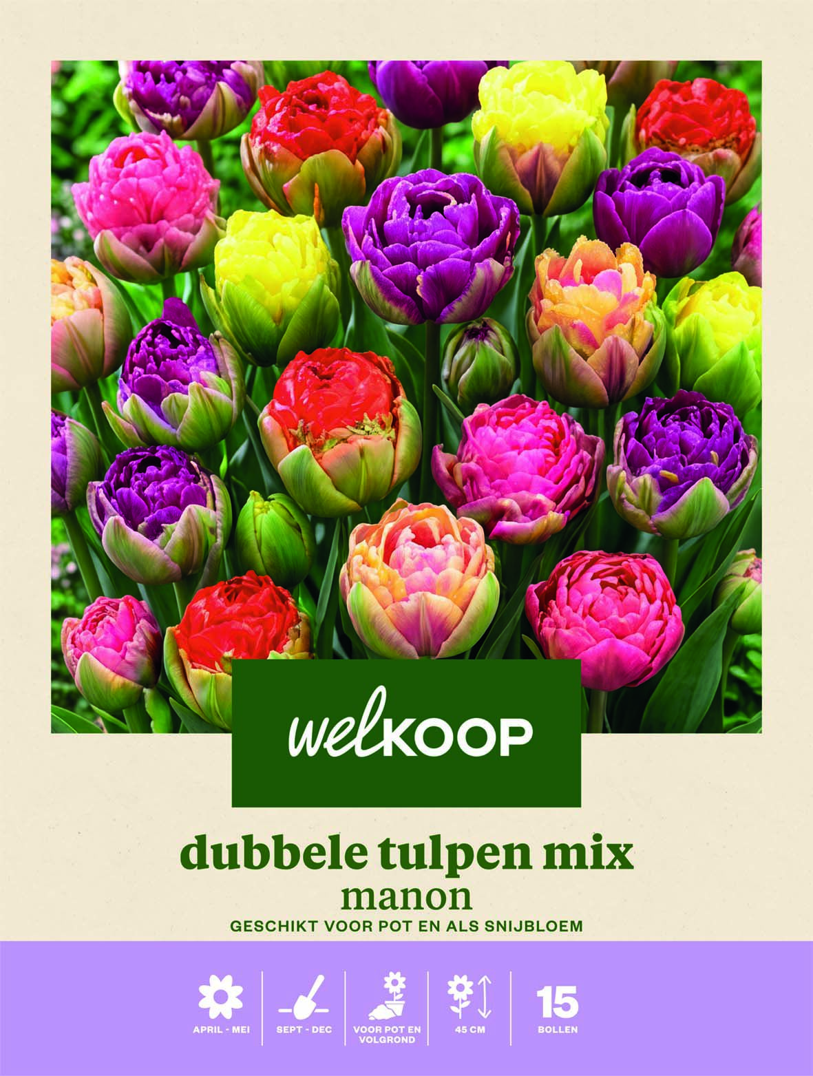 Welkoop Dubbele Tulpen mix Manon - Bloembollen