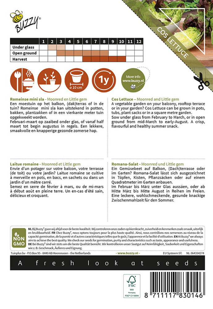 Buzzy Patio Vegetables Romeinse Mini-sla - Groentezaden