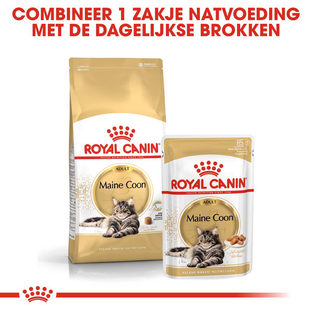 Royal Canin Maine Coon Adult - Kattenvoer - 2 Kilogram - Gevogelte
