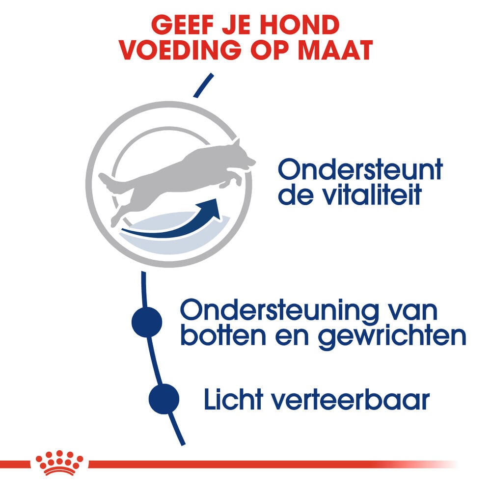 Royal Canin SHN Maxi Adult 5+ - Hondenvoer - 15 Kilogram - gevogelte