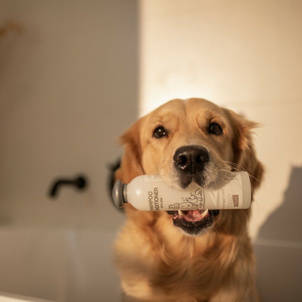 Greenfields - Hondenshampoo en Conditioner - 270 Milliliter - Transparant