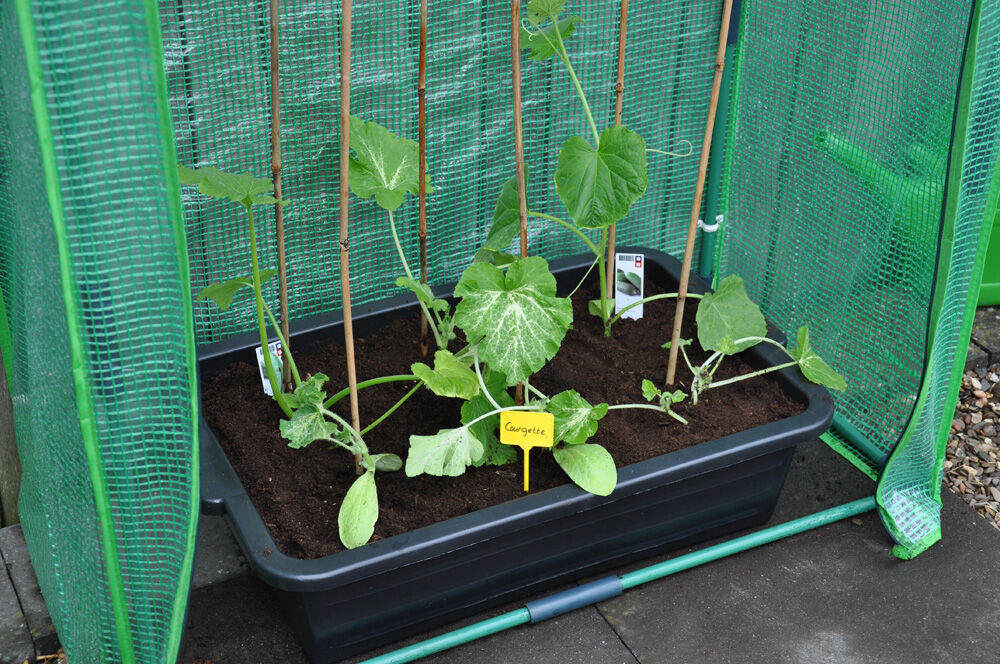 Royal Well Zaaikist 40L  - Kas accessoires