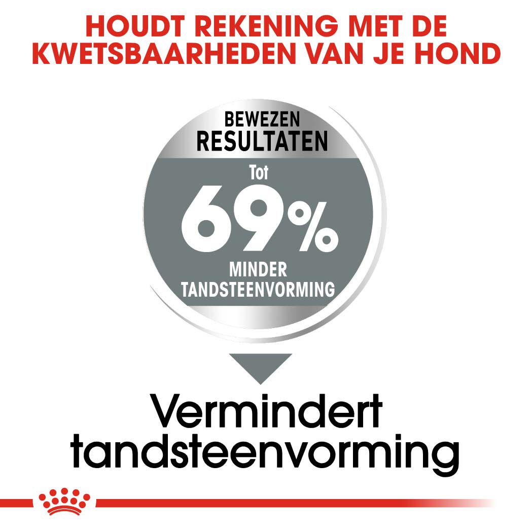 Royal Canin Dental Care Mini - Hondenvoer - 8 Kilogram - gevogelte