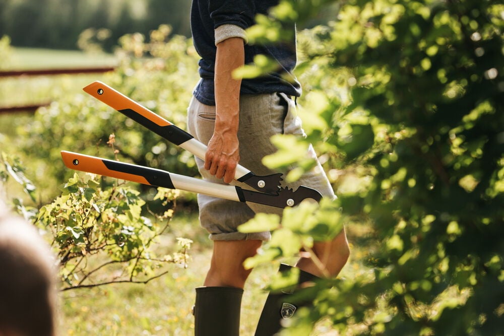 Fiskars PowerGear LX99 - Takkenschaar