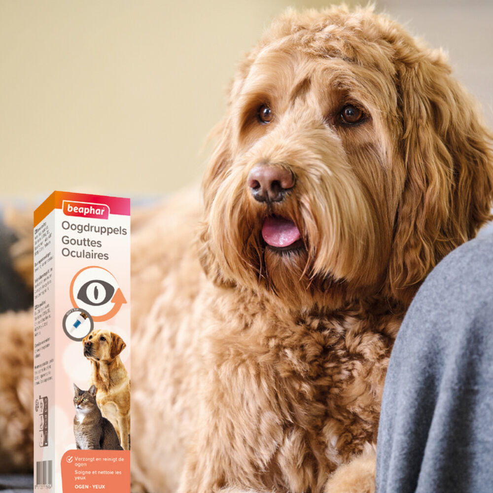 Beaphar - Oogdruppels - 50 Milliliter