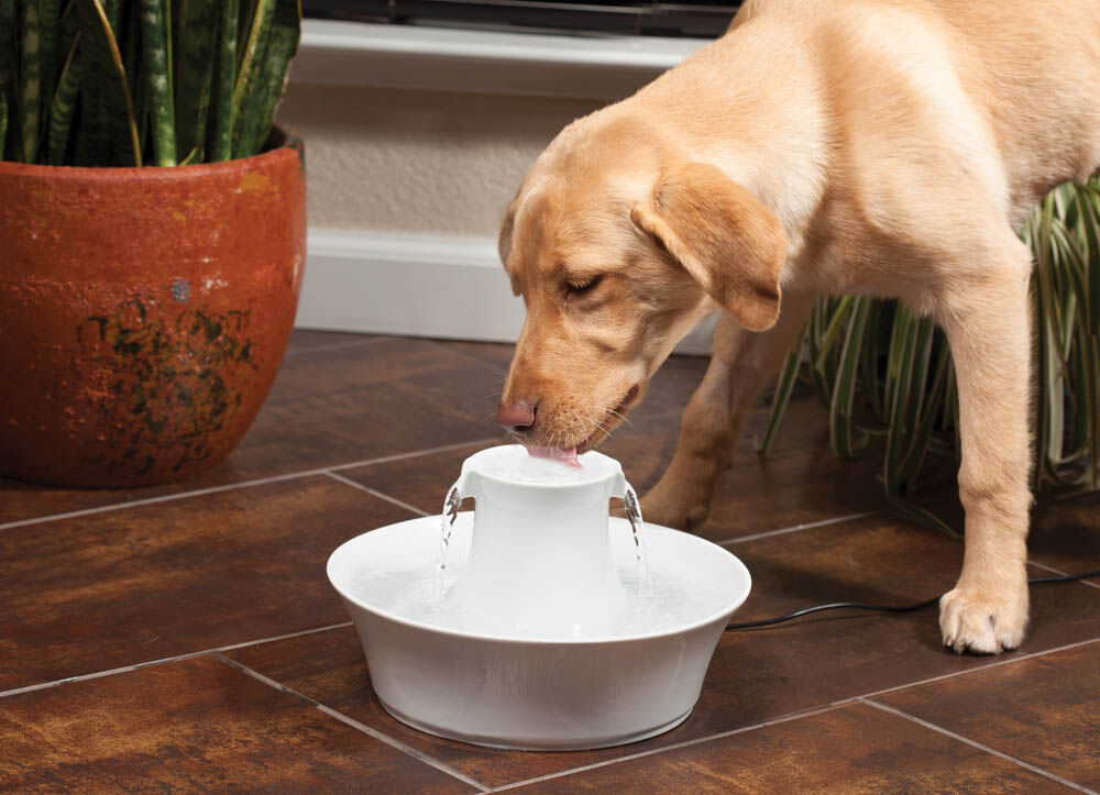 Petsafe Avalon - Keramische drinkfontein - Wit - 31x23x23 cm