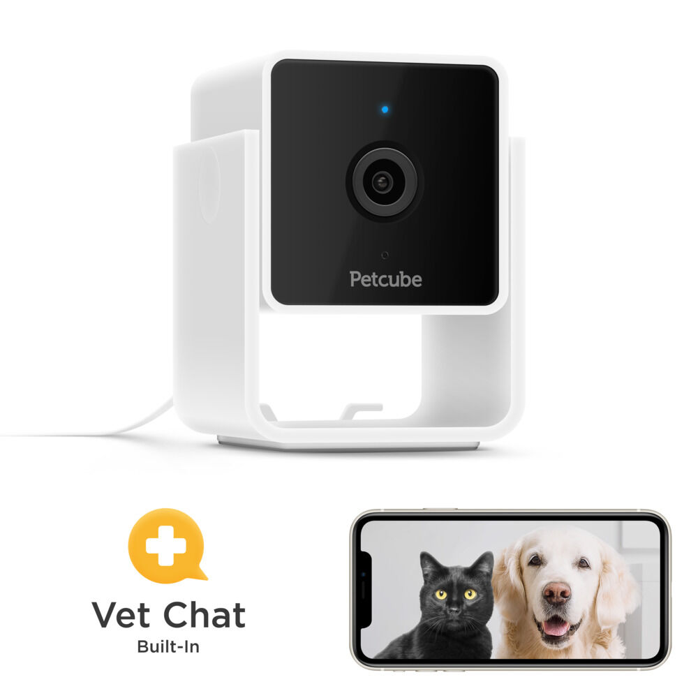 Petcube - Pet Camera - Met Nachtvisie - Wit