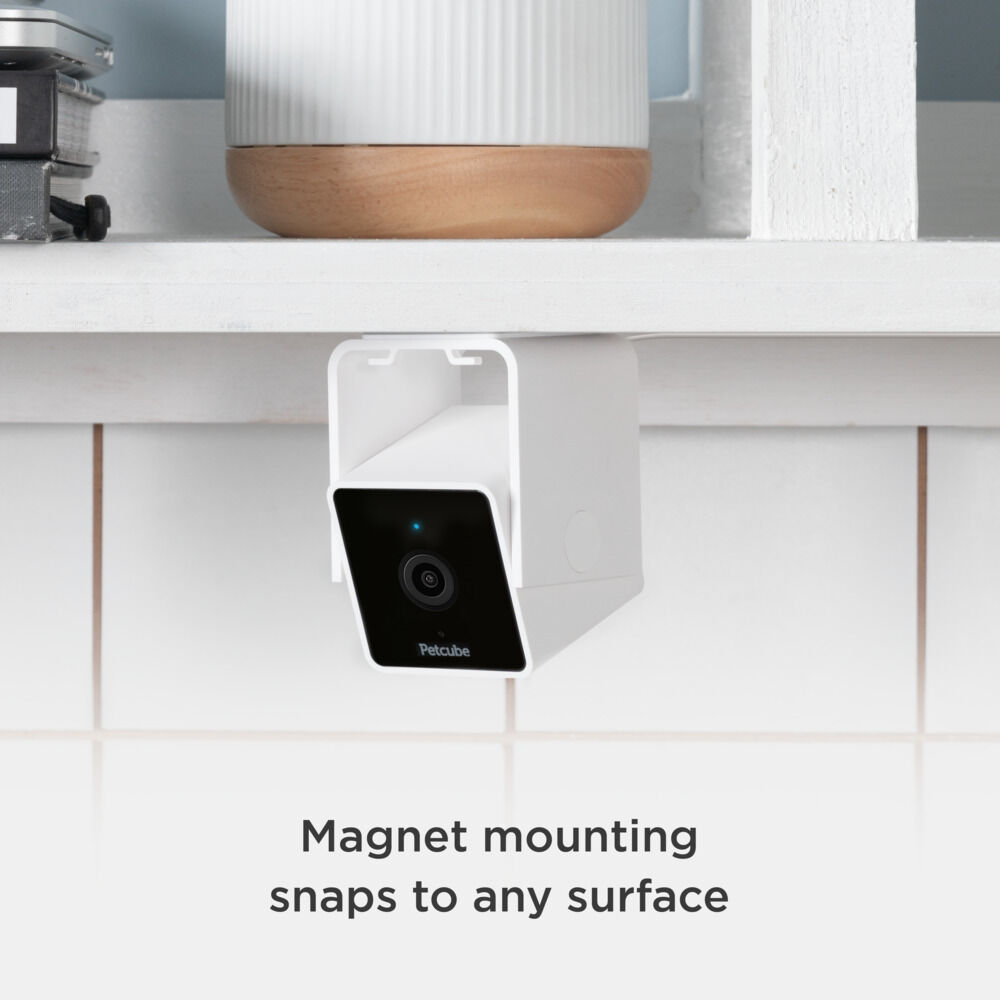 Petcube - Pet Camera - Met Nachtvisie - Wit