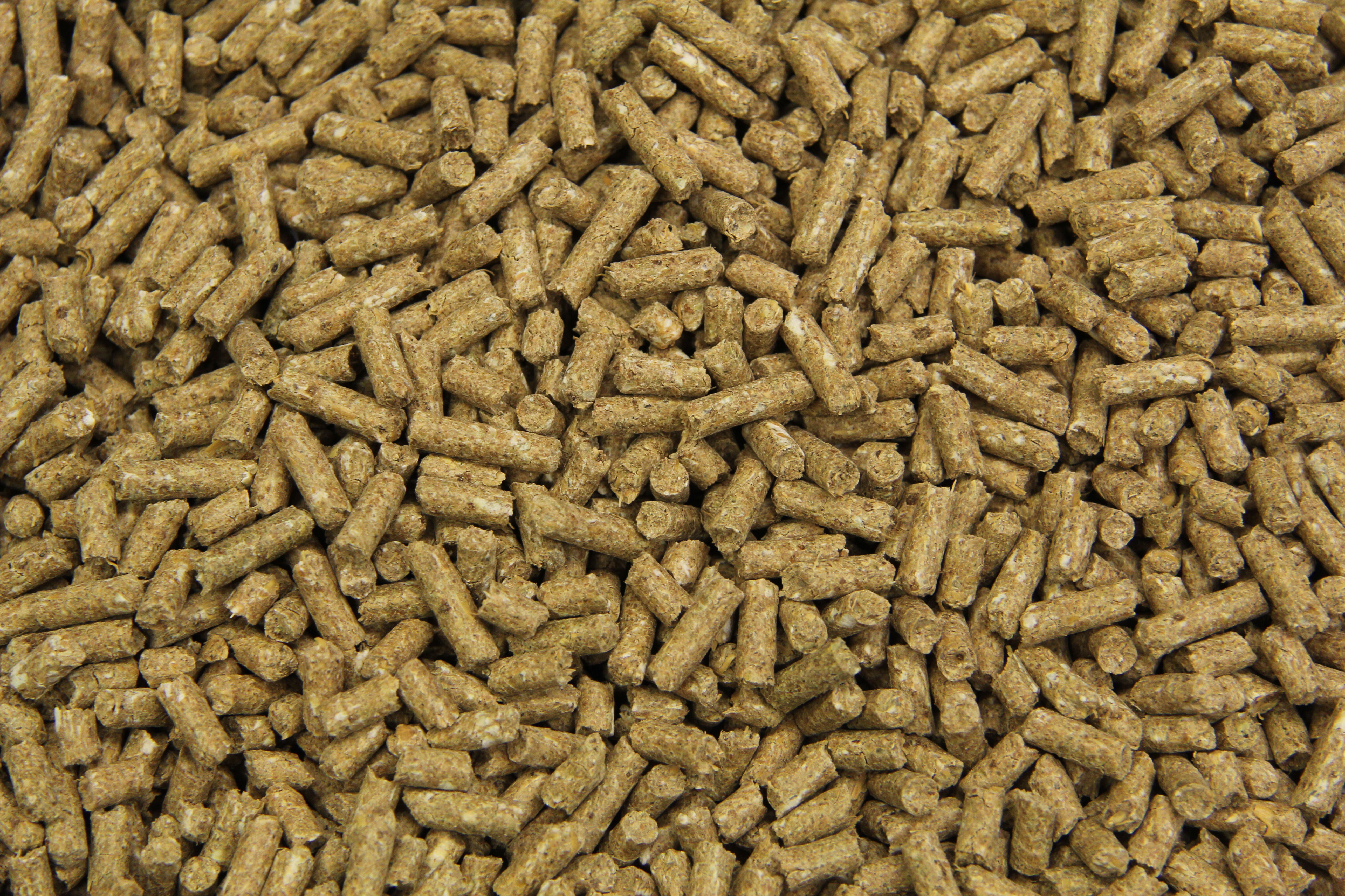 Subli Prestatiebrok - Sport/ prestatie - 20 Kilogram