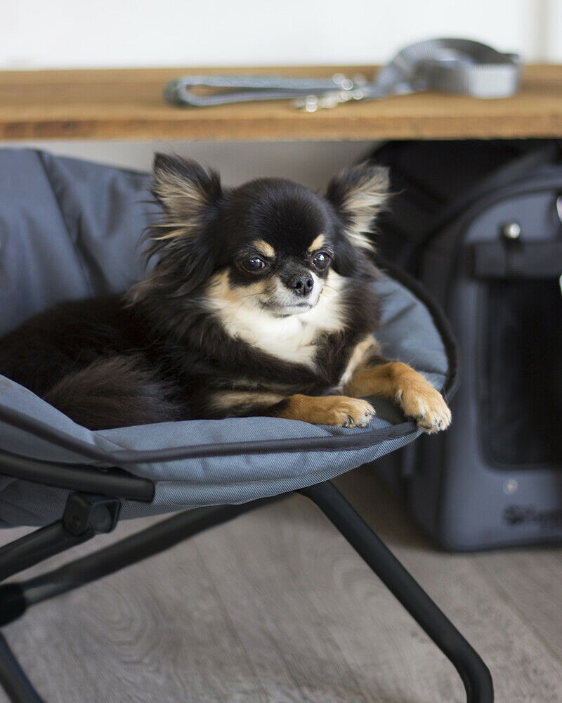 Happy-House Strong - Hondenstoel - grijs - 36x51x55 cm - Klein