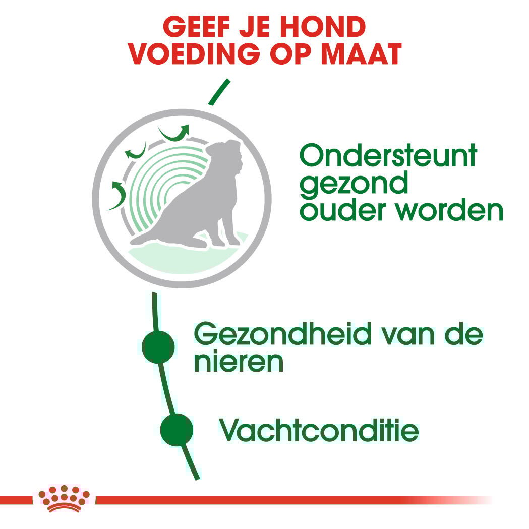 Royal Canin Mini Ageing 12+ - Hondenvoer - 3500 Gram - gevogelte