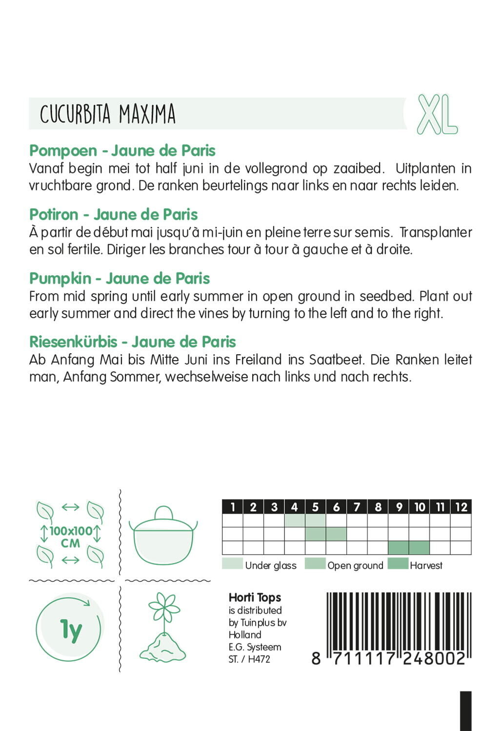 Hortitops Pompoenen Cucurbita maxima Geelvlezige (Centenaars) - Kalebas/Pompoen