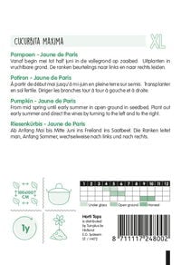 Hortitops Pompoenen Cucurbita maxima Geelvlezige (Centenaars) - Kalebas/Pompoen