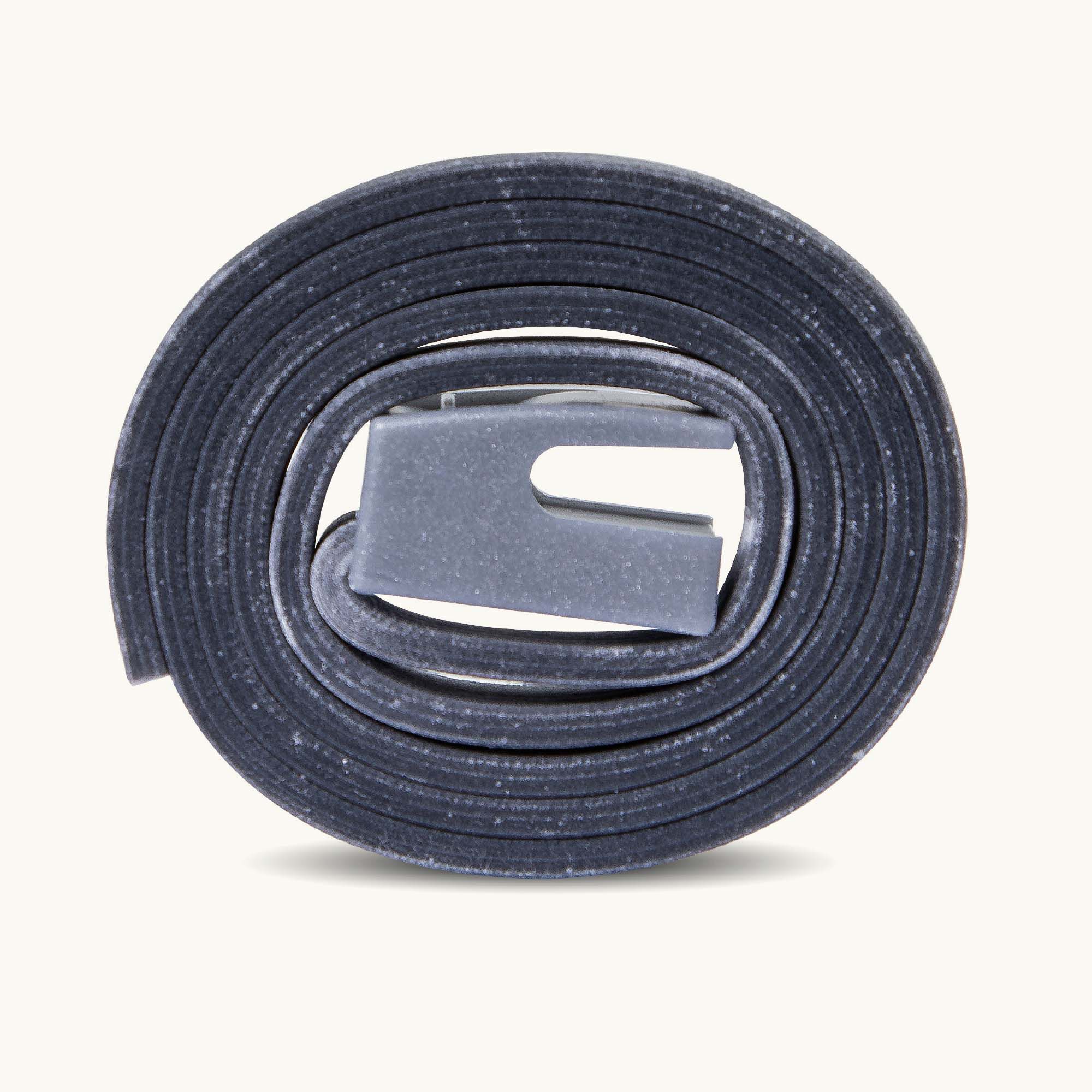 Beaphar Canishield - Anti Vlooien en Tekenband Hond - Groot - L