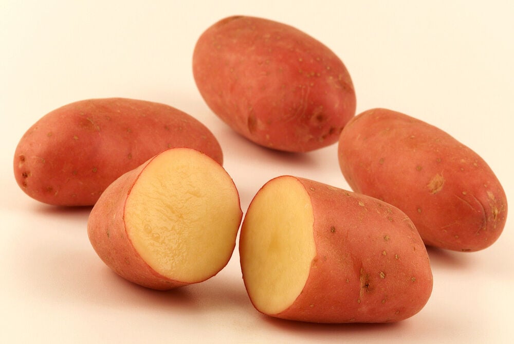 Roseval - Pootaardappelen Roseval - Pootaardappelen