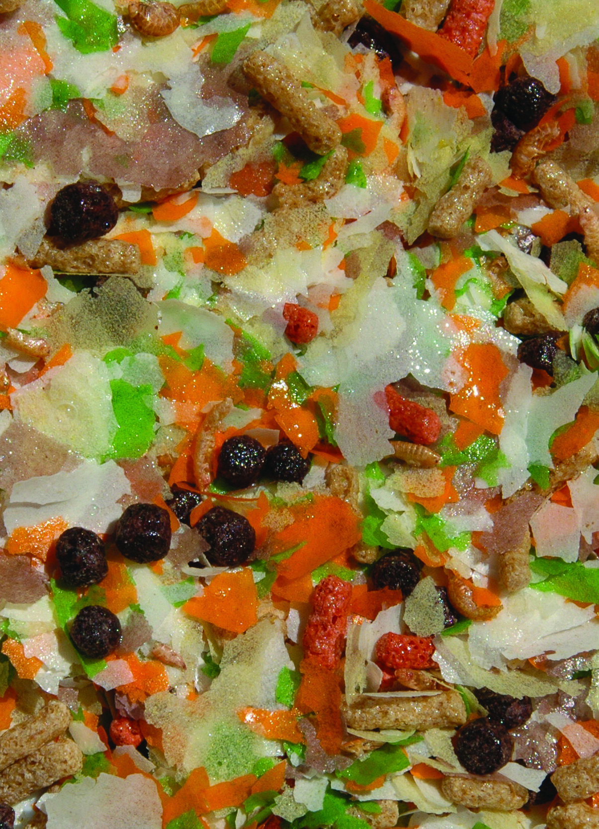 Velda Gold Flakes - Vlokken - Vijvervissenvoer - 3000 Milliliter