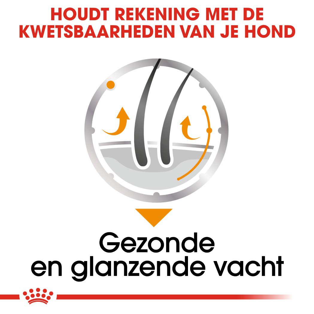 Royal Canin Coat Care Wet - Hondenvoer - 1020 Gram - gevogelte