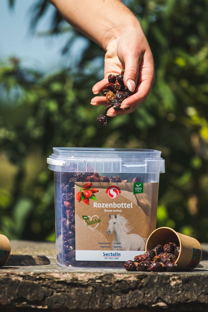 Sectolin Rozenbottel Kruid - Weerstandsupplement Paard - 1 Kilogram