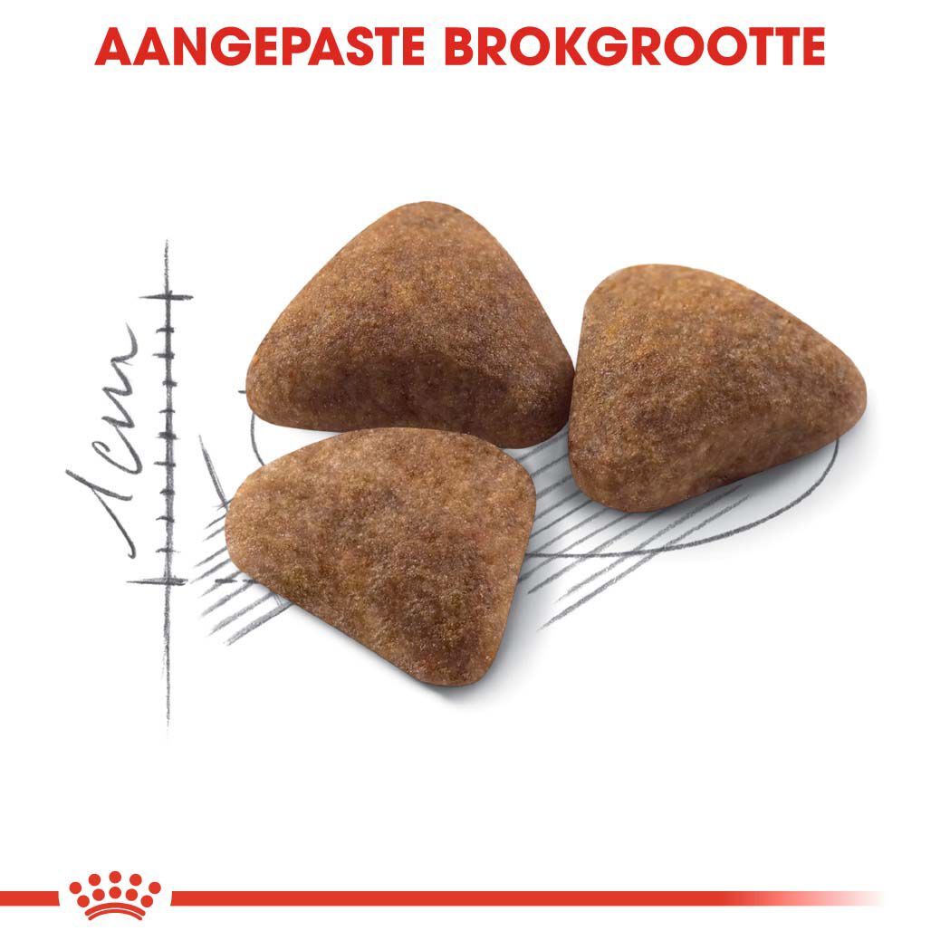 Royal Canin Indoor 27 - Kattenvoer - 10 Kilogram - Gevogelte
