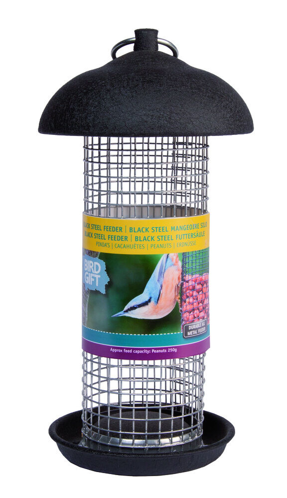 Bà»ten - Pindasilo