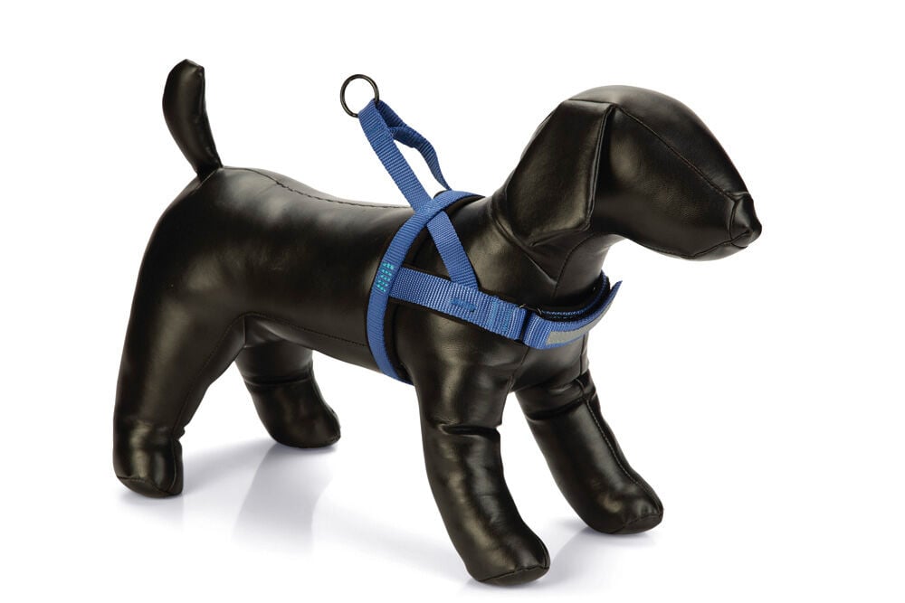 Beeztees Premium Parinca - Hondentuig - blauw - 32 tot 43 cm Beeztees Premium Parinca - Hondentuig - blauw - 32 tot 43 cm