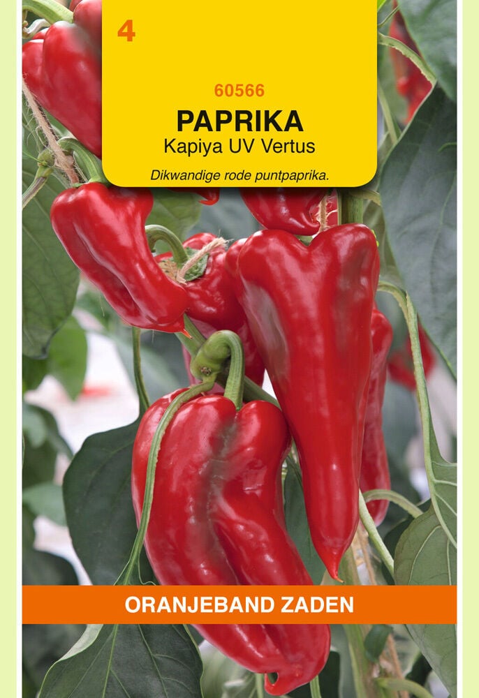 Oranjeband zaden Paprika Rode Punt Kapiya - Groentezaden