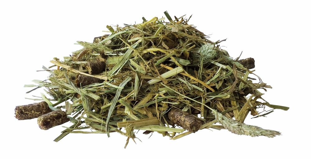 Pavo SeniorFibre - Specialiteit - 12 Kilogram - Zak
