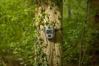 Camouflage EZ2 Ultra - Wildcamera - 7.2x10.3x14 cm