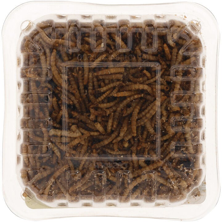 Welkoop - Gedroogde meelwormen - Tuinvogelvoer - 50 Gram - Meelwormen