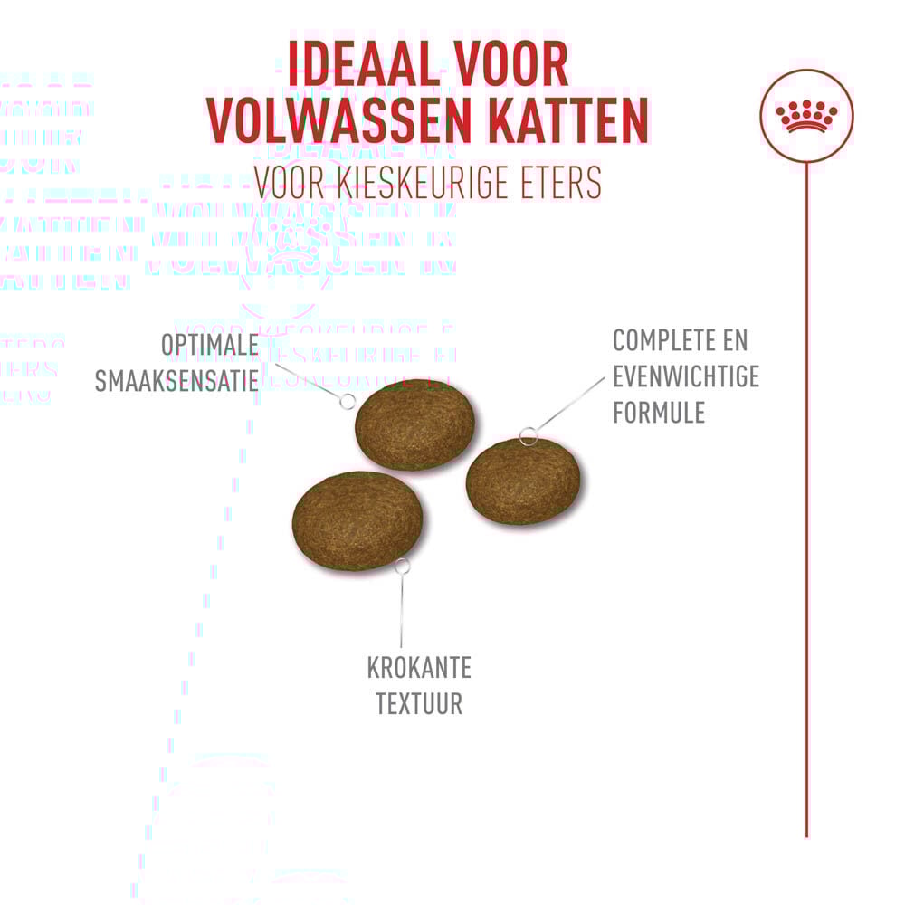 Royal Canin Fussy Exigent - Kattenvoer - 2 Kilogram