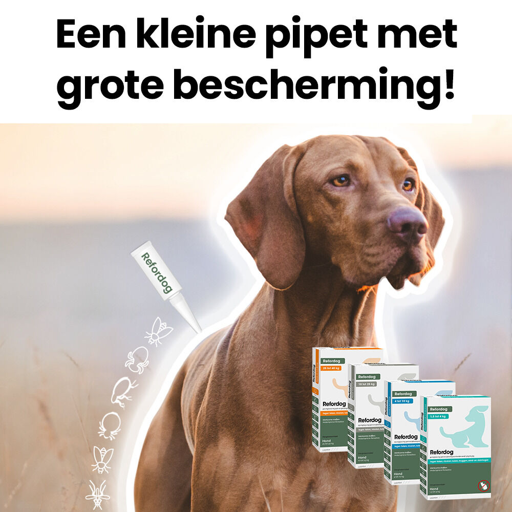 Refordog Spot - On - Pipetten - Anti vlooien en teken Hond - 3 pipetten - 3 Stuks