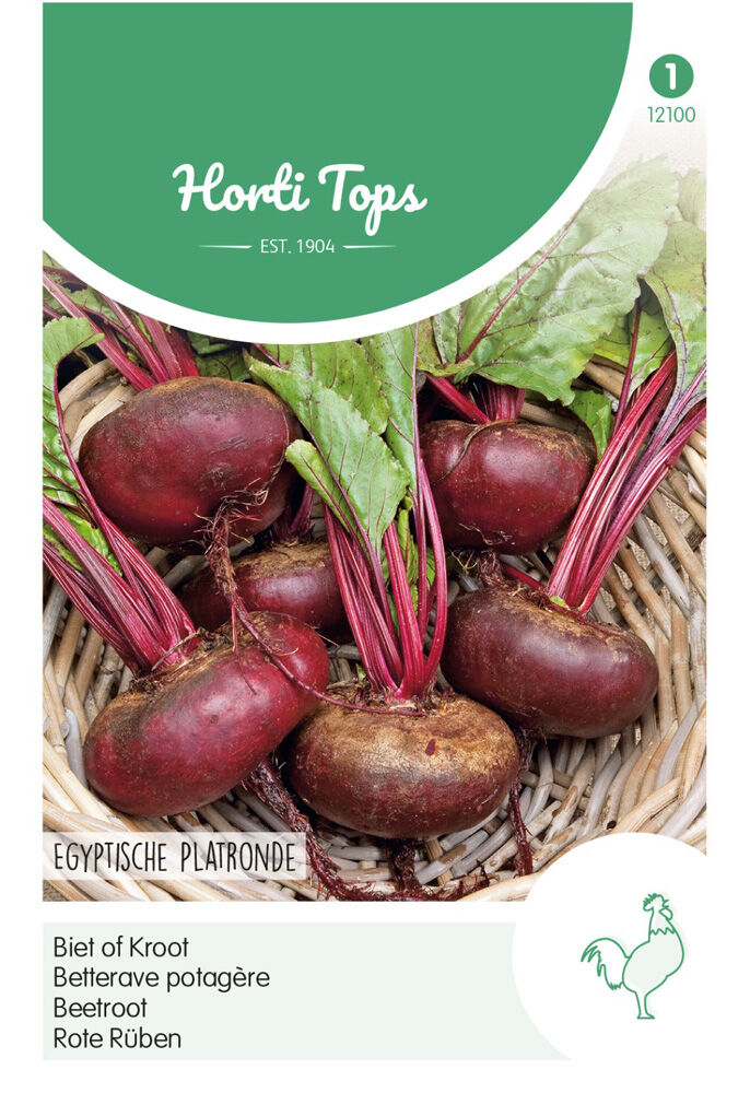 Hortitops Bieten Beta vulgaris Egyptische Platronde - Groentezaden